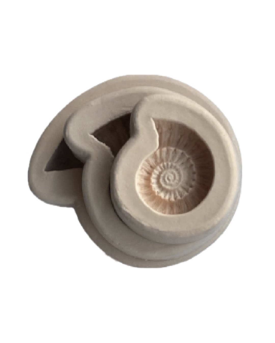 Silikonform, Fosil medium 5,5x 6,5cm -utgående vare