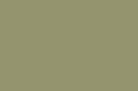 Tri-art: TA36870	New Foundations Acrylic	Hemp	120mL-heldekkende