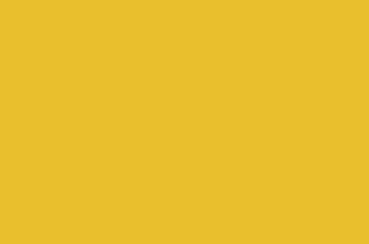 Tri-art: TA36933	New Foundations Acrylic	Yellow Ochre 	500mL-heldekkende