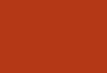 Tri-art: TA36865	New Foundations Acrylic	Burnt Sienna	120mL-heldekkende