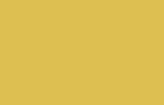 Tri-art: TA36897	New Foundations Acrylic	Yellow Ochre	120mL-heldekkende