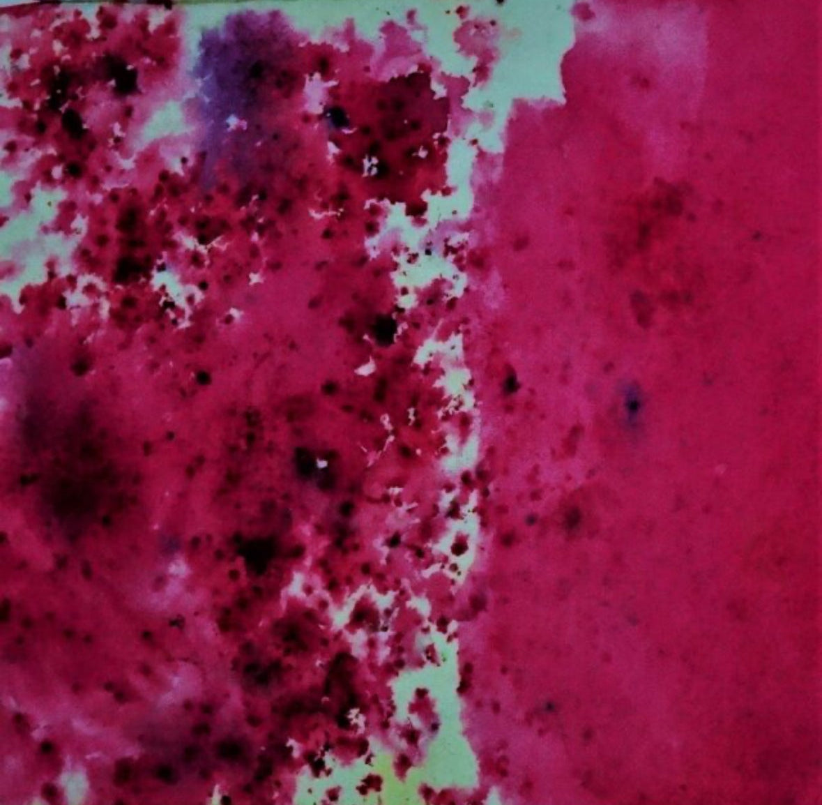 Brusho Alizarin Crimson 15g